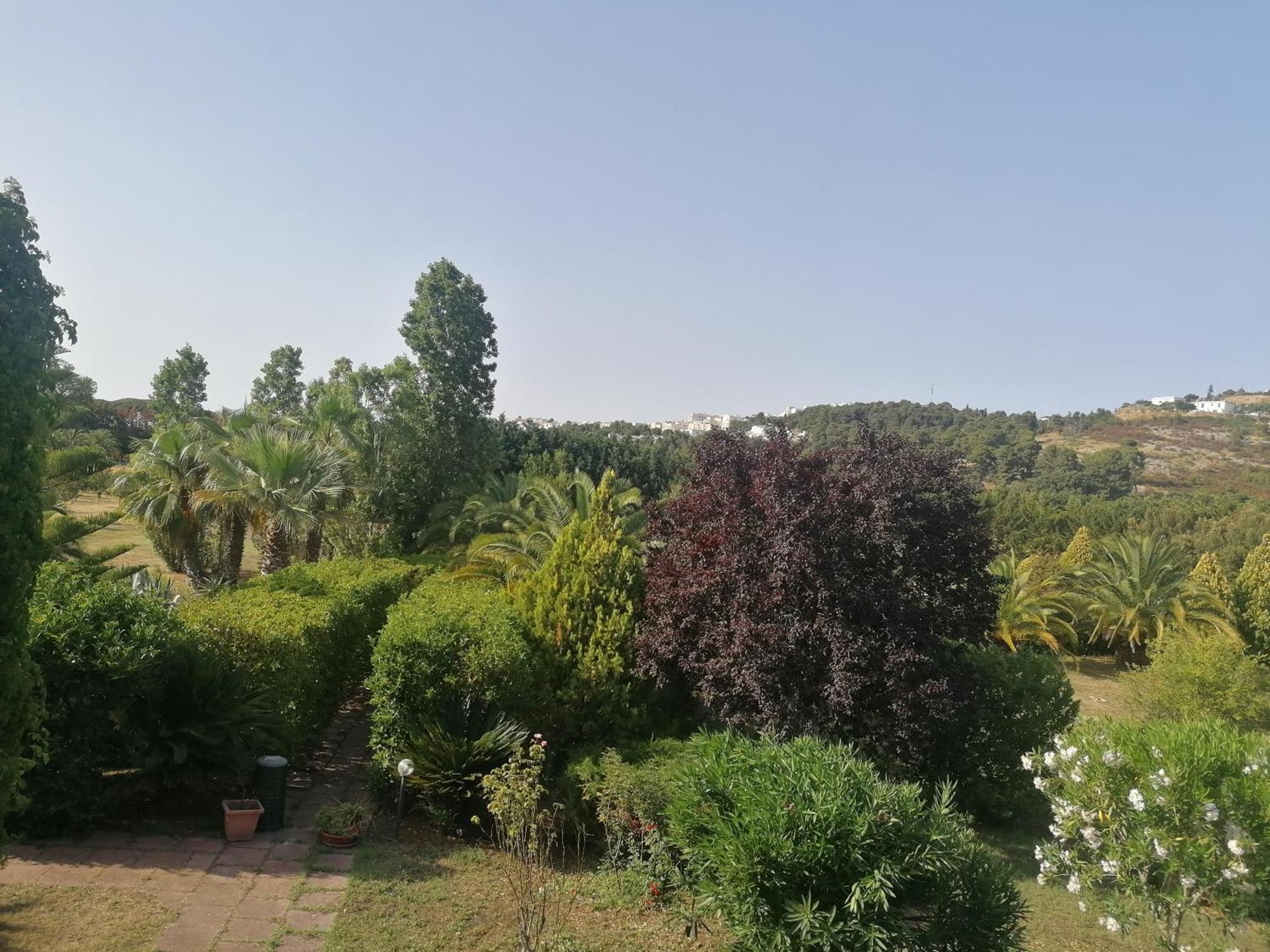 La Piana Di Calena Villa Peschici Eksteriør billede