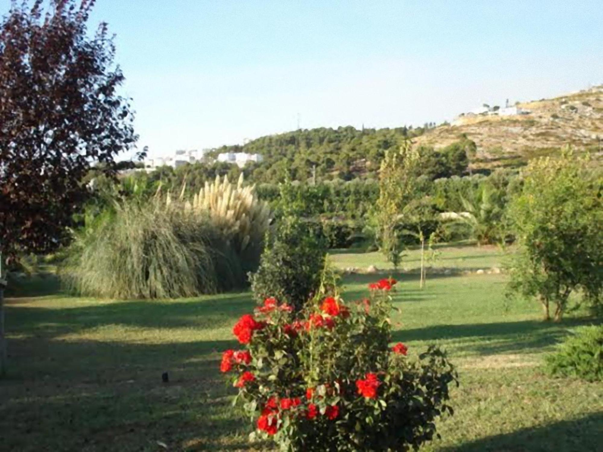 La Piana Di Calena Villa Peschici Eksteriør billede