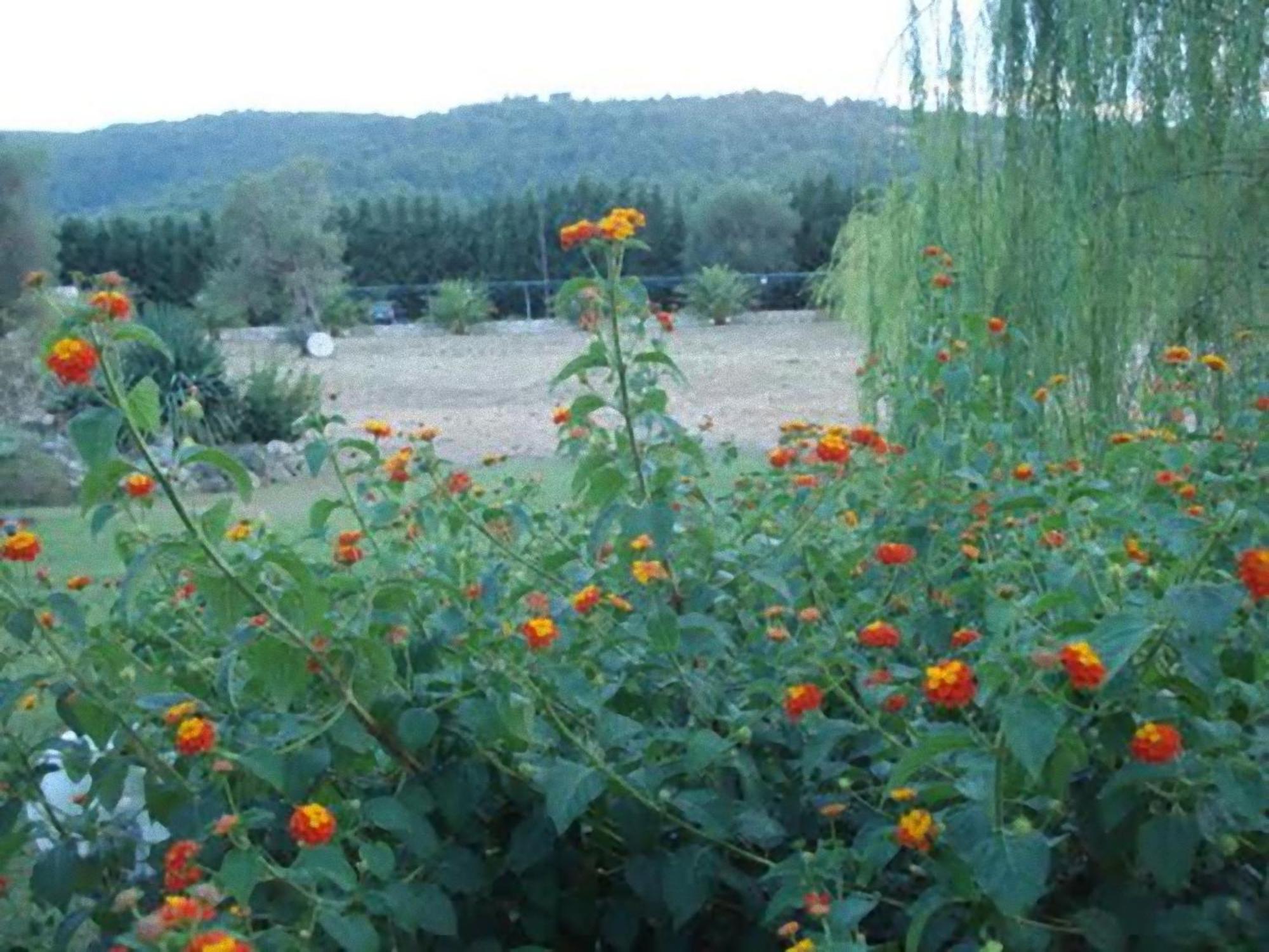 La Piana Di Calena Villa Peschici Eksteriør billede