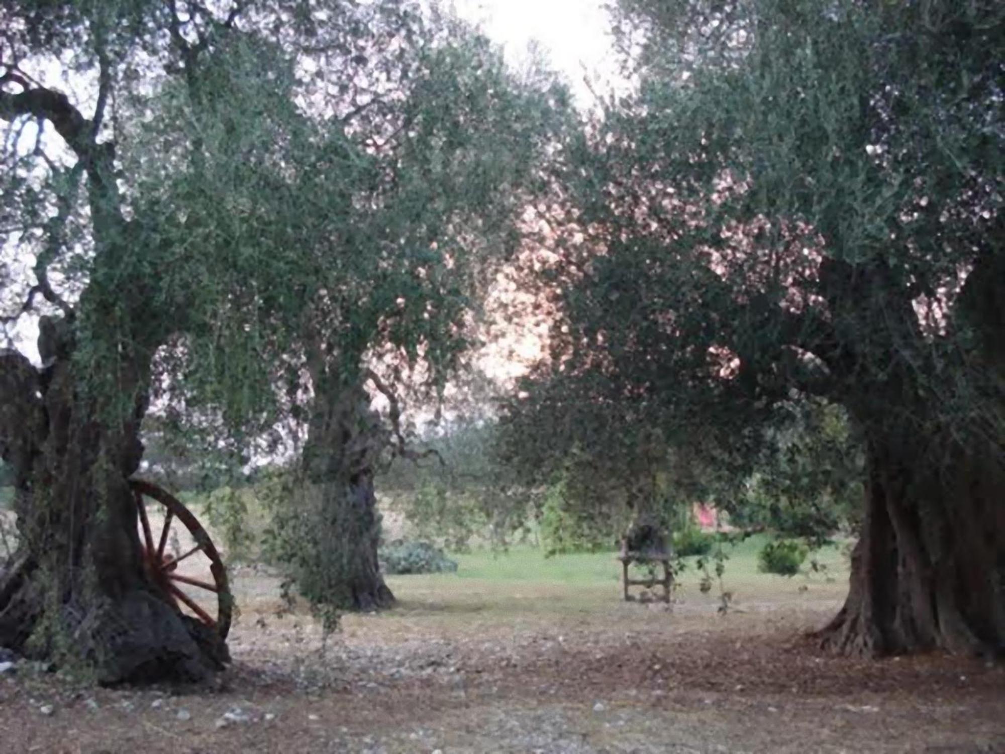 La Piana Di Calena Villa Peschici Eksteriør billede