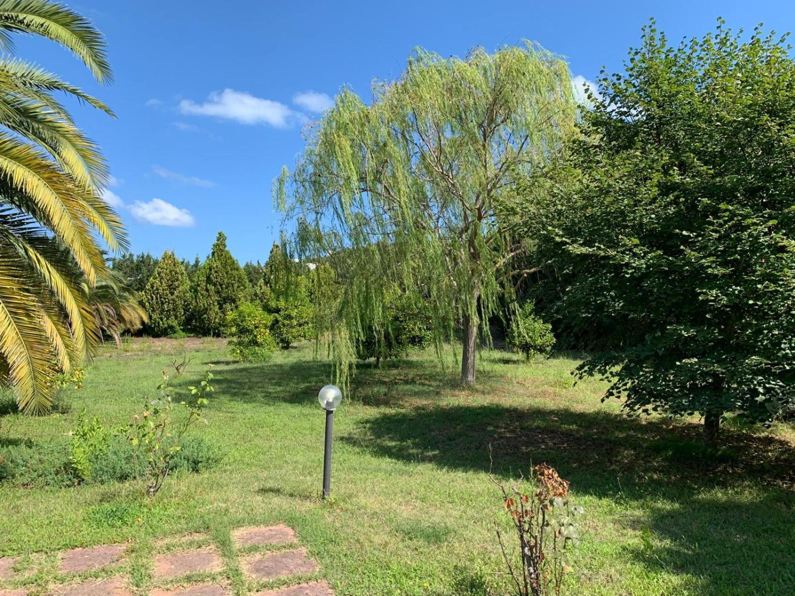 La Piana Di Calena Villa Peschici Eksteriør billede