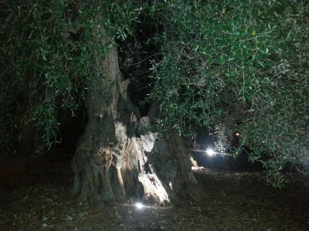 La Piana Di Calena Villa Peschici Eksteriør billede