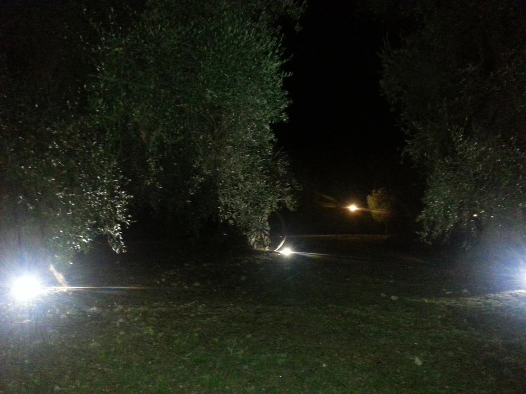La Piana Di Calena Villa Peschici Eksteriør billede