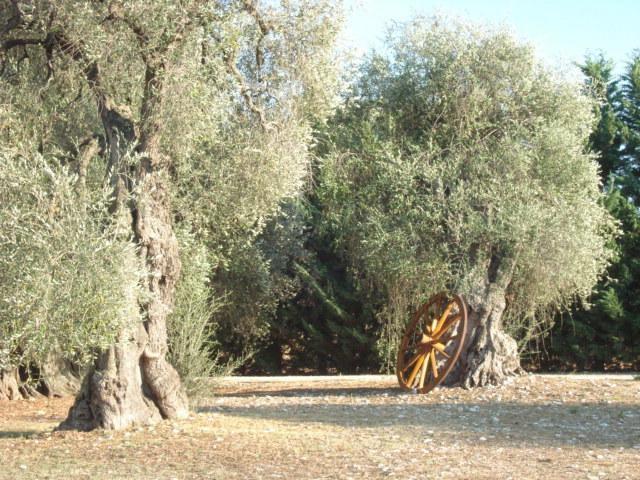 La Piana Di Calena Villa Peschici Værelse billede
